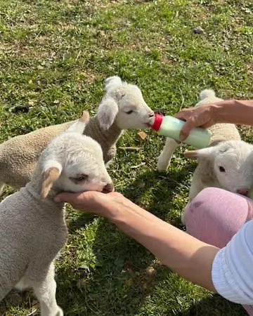 Semesterbostad Rudnicka