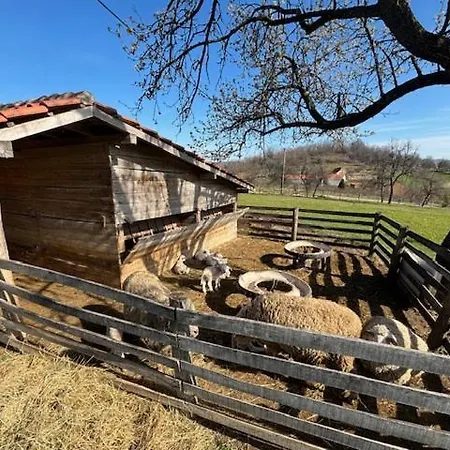 Rudnicka Semesterbostad Arandjelovac
