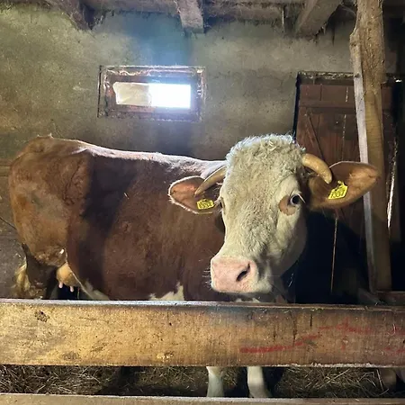 Rudnicka Semesterbostad Arandjelovac